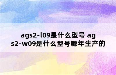 ags2-l09是什么型号 ags2-w09是什么型号哪年生产的